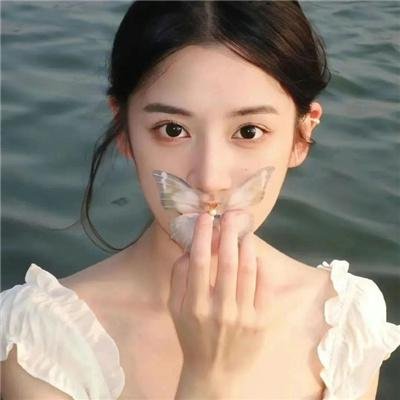 海豚之眼